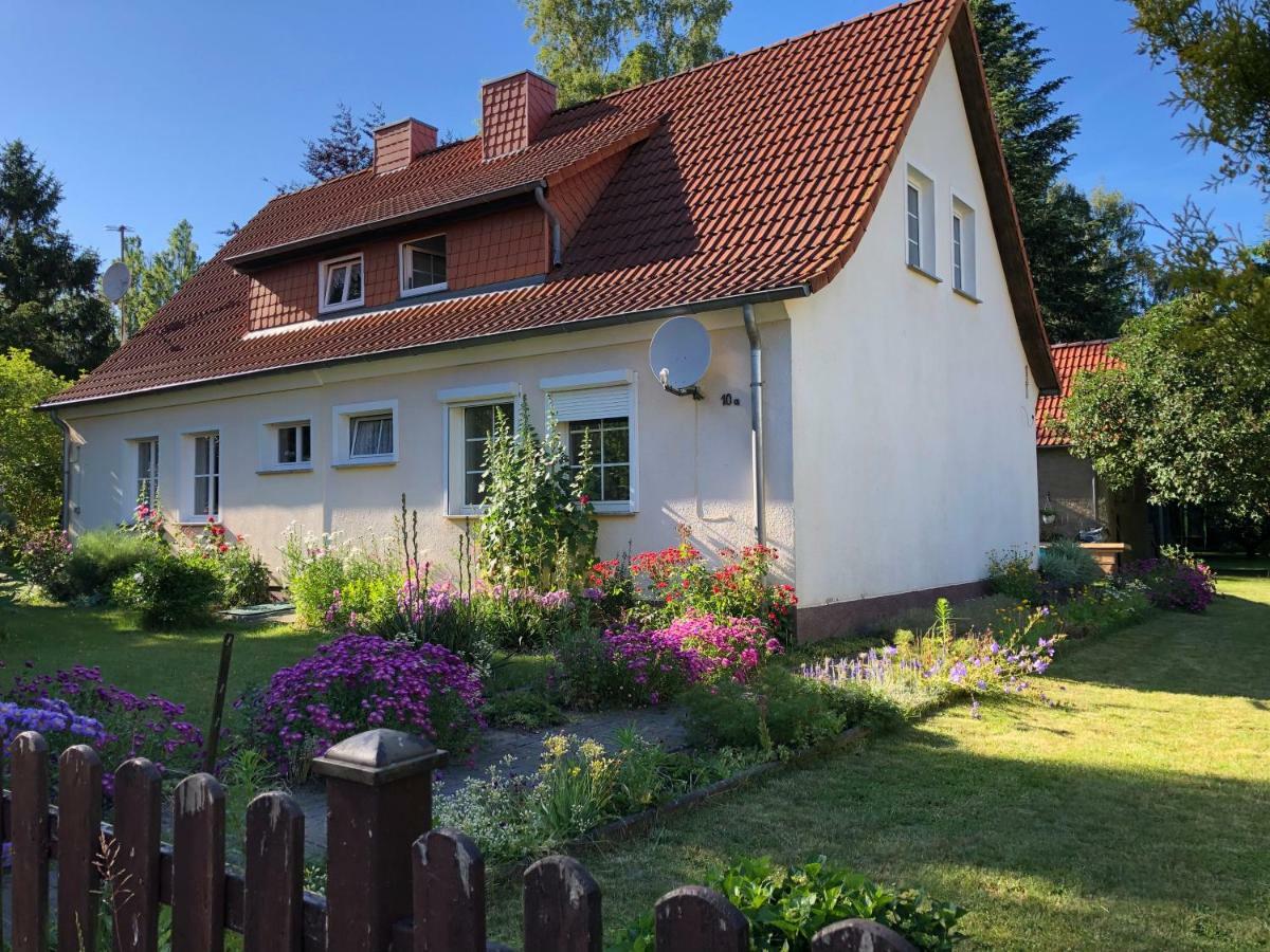 Sommerhaus Boldevitz Auf Ruegen المظهر الخارجي الصورة